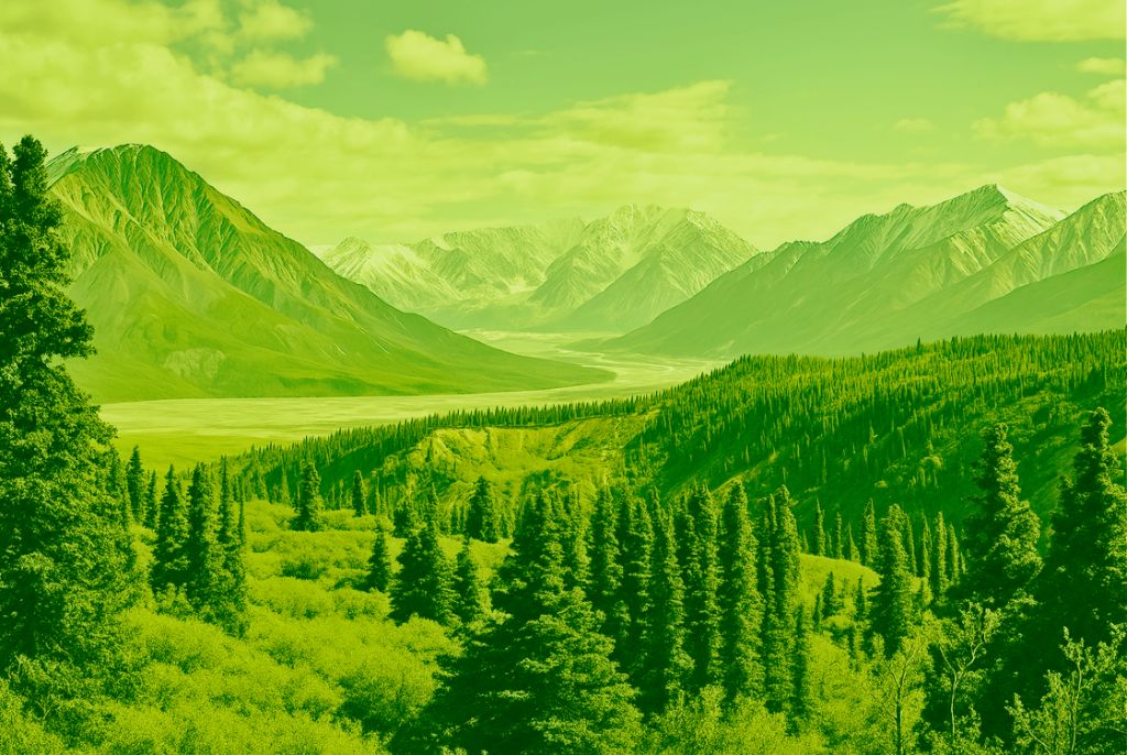 Vibrant green mountain valley landscape